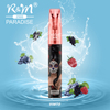 R&M Paradise China 2500 Puffs RGB Light OEM Brand Vape