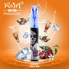 R&M Paradise Alemania Original 2500 Puffs Salt Nicotina Vapor desechable